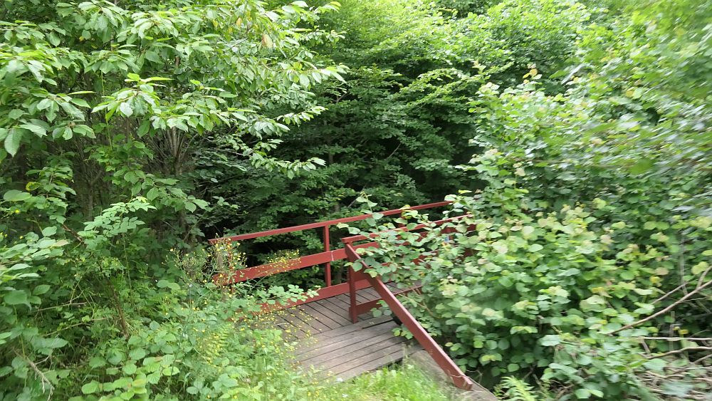 Saar Hunsrueck Steig