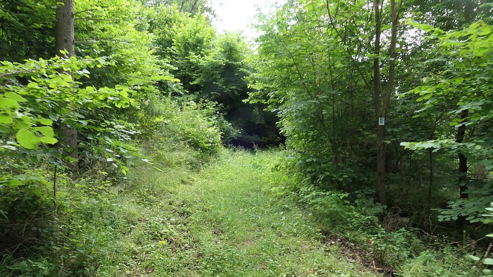 Saar Hunsrueck Steig