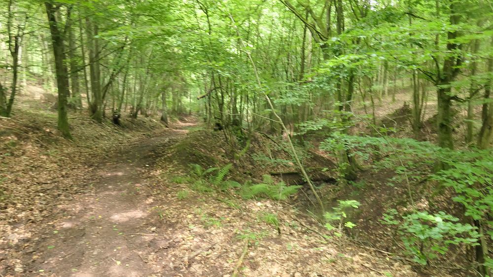 Saar Hunsrueck Steig
