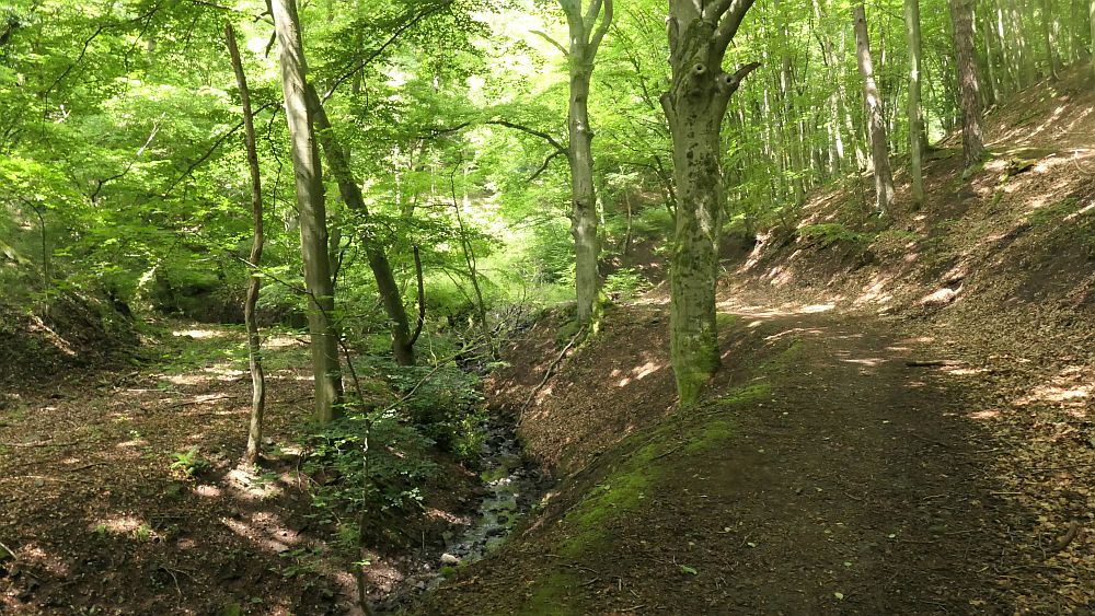 Saar Hunsrueck Steig