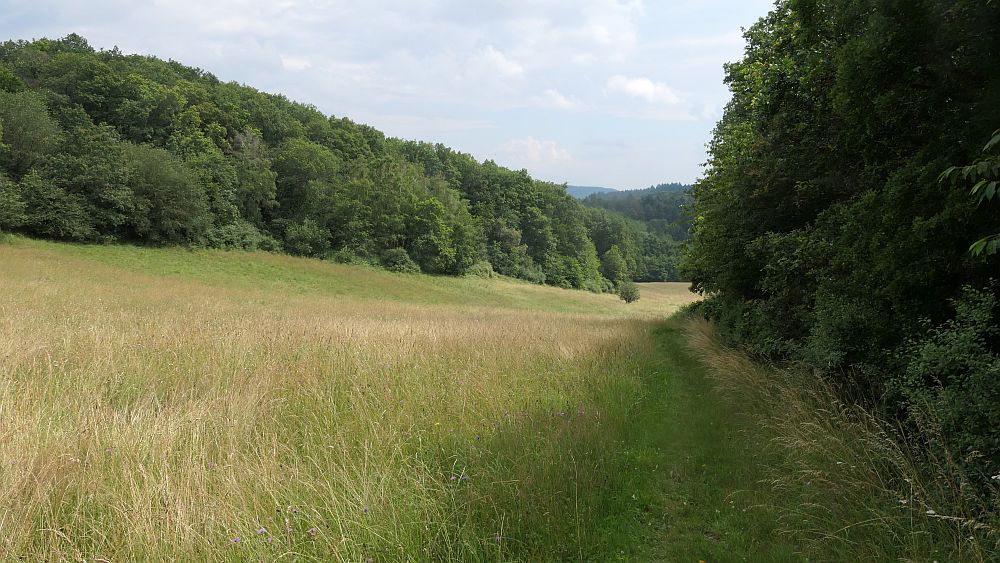 Saar Hunsrueck Steig