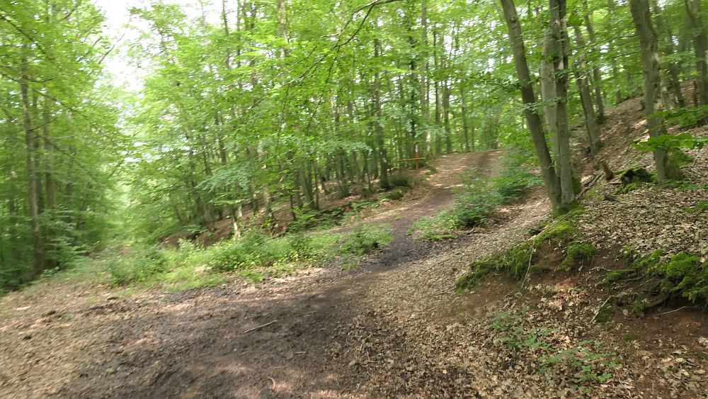 Saar Hunsrueck Steig