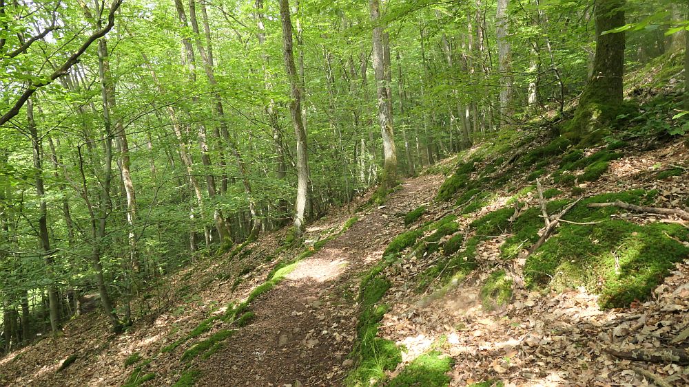 Saar Hunsrueck Steig