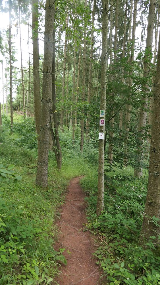 Saar Hunsrueck Steig