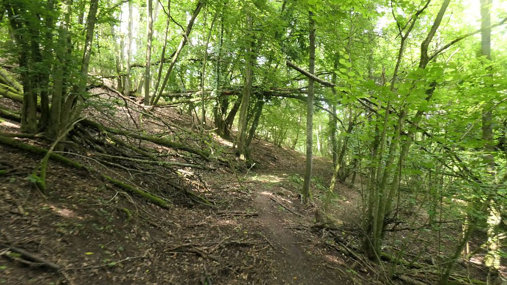 Saar Hunsrueck Steig