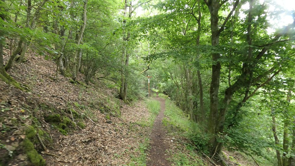 Saar Hunsrueck Steig