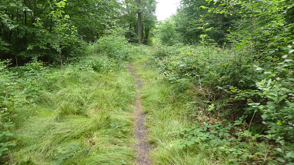 Saar Hunsrueck Steig