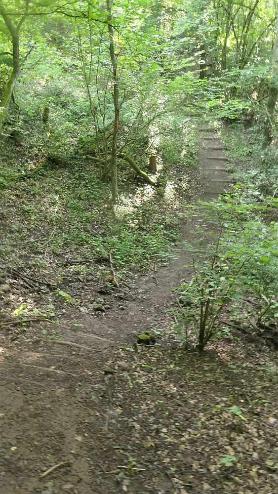 Saar Hunsrueck Steig