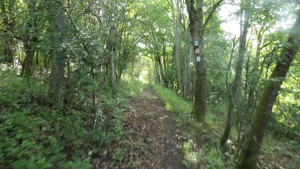 Saar Hunsrueck Steig