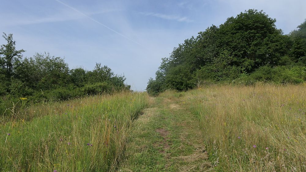 Saar Hunsrueck Steig