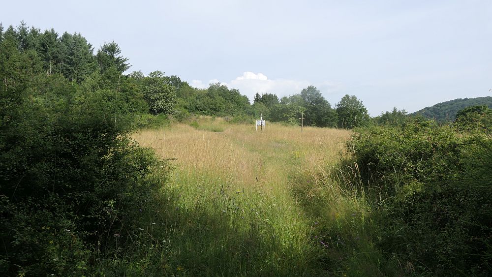 Saar Hunsrueck Steig
