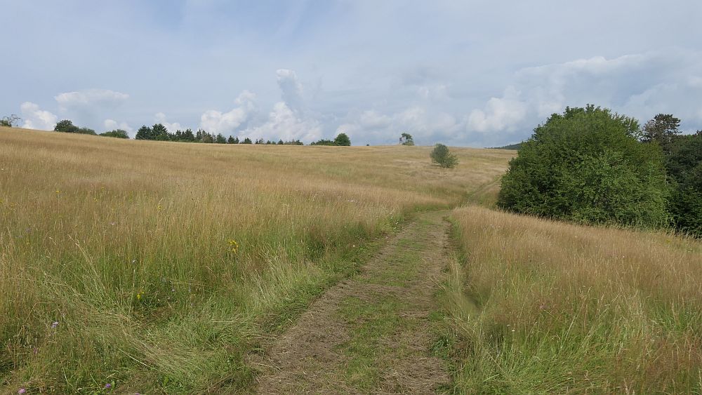 Saar Hunsrueck Steig