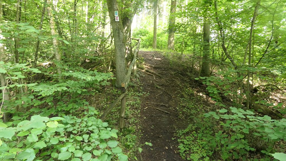 Saar Hunsrueck Steig