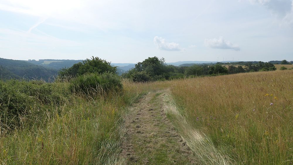 Saar Hunsrueck Steig