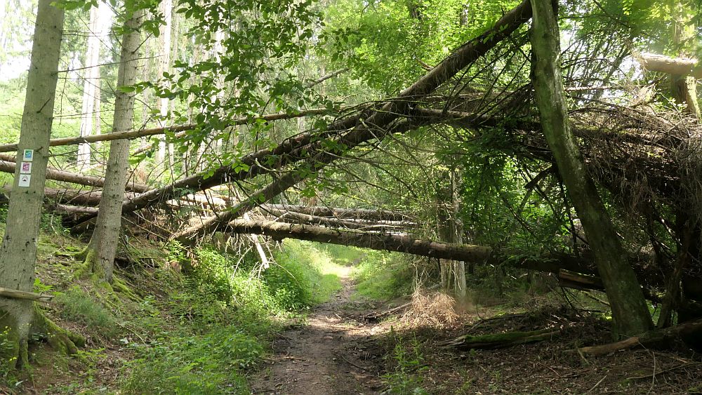 Saar Hunsrueck Steig