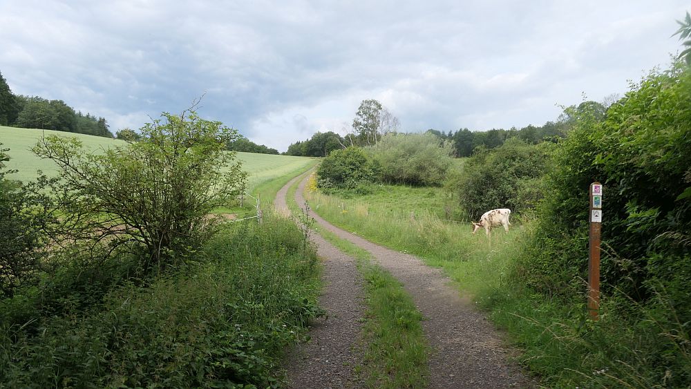 Saar Hunsrueck Steig