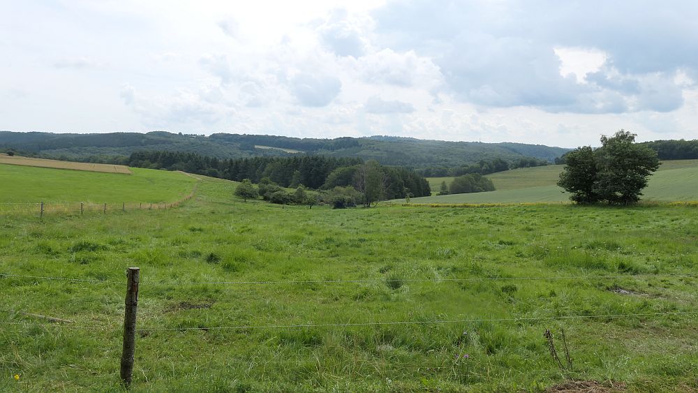 Saar Hunsrueck Steig