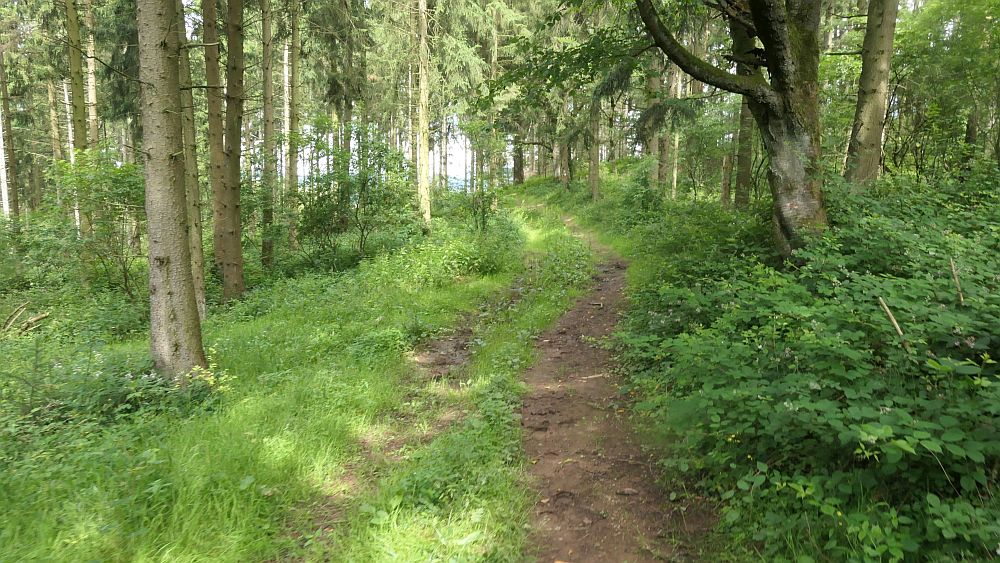 Saar Hunsrueck Steig