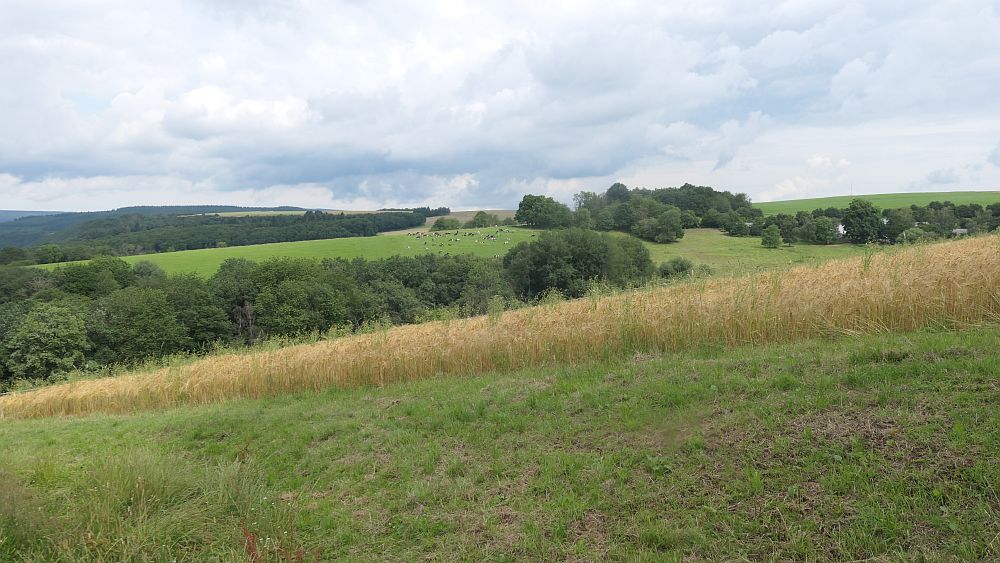 Saar Hunsrueck Steig