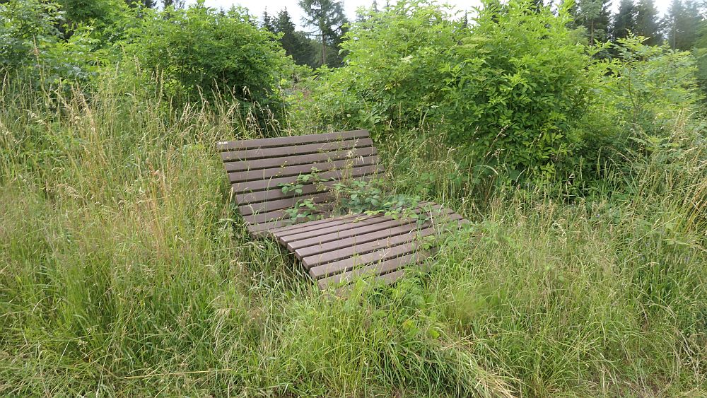Saar Hunsrueck Steig