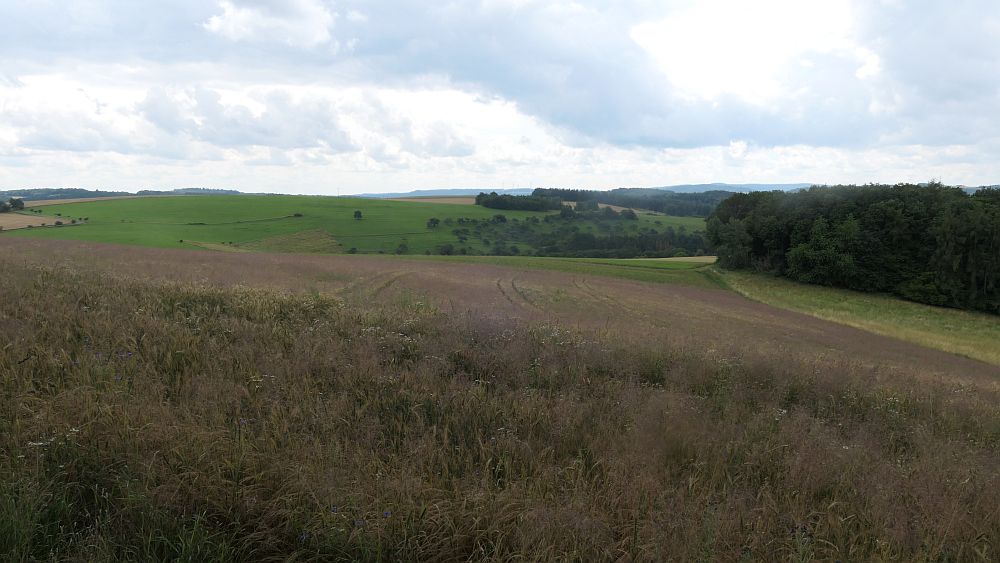 Saar Hunsrueck Steig