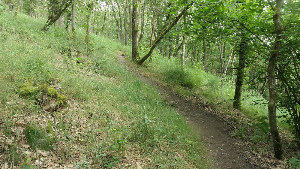 Saar Hunsrueck Steig