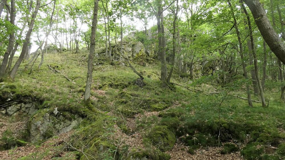 Saar Hunsrueck Steig
