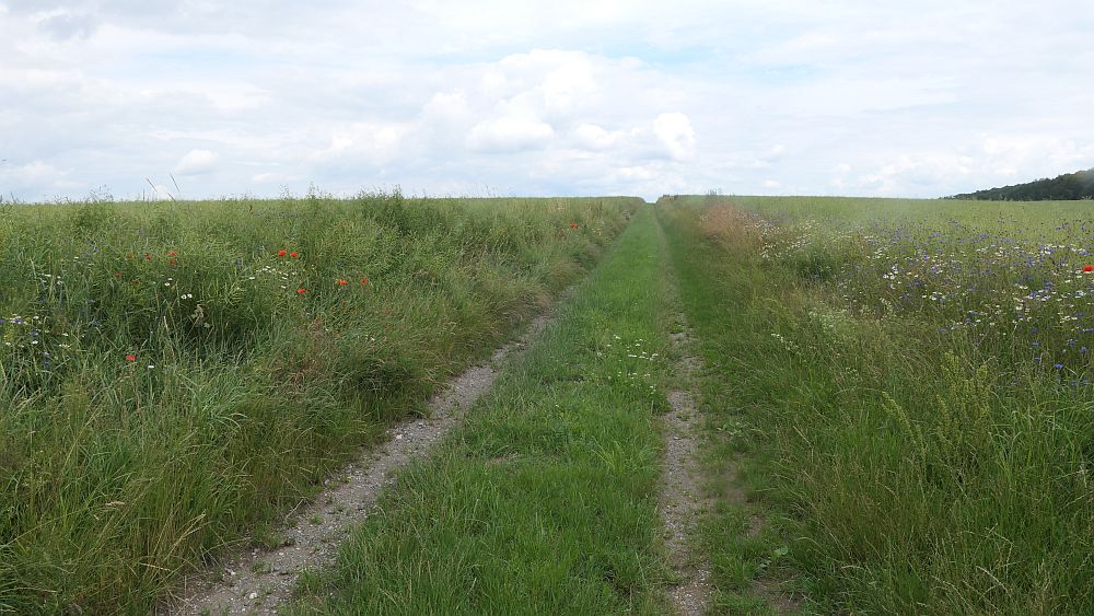 Saar Hunsrueck Steig