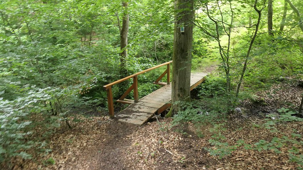 Saar Hunsrueck Steig