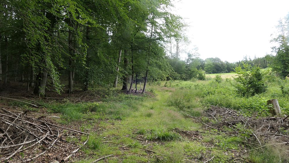Saar Hunsrueck Steig
