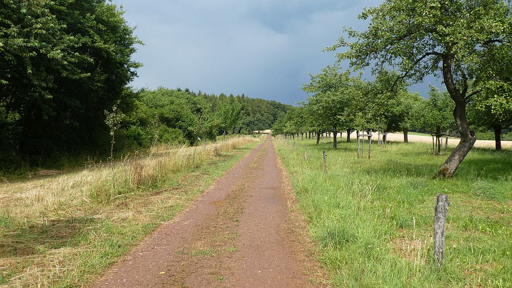 Saar Hunsrueck Steig
