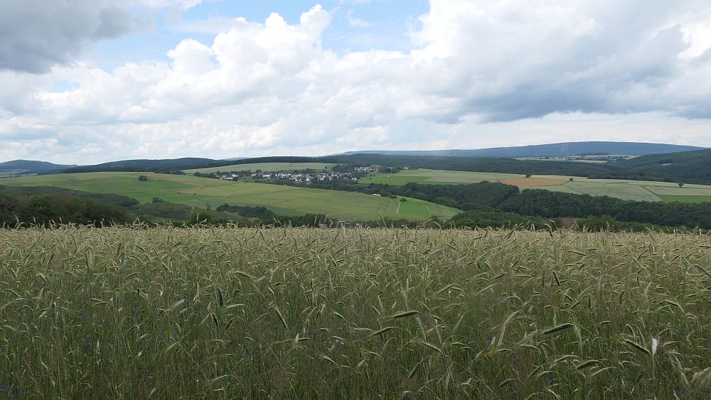 Saar Hunsrueck Steig
