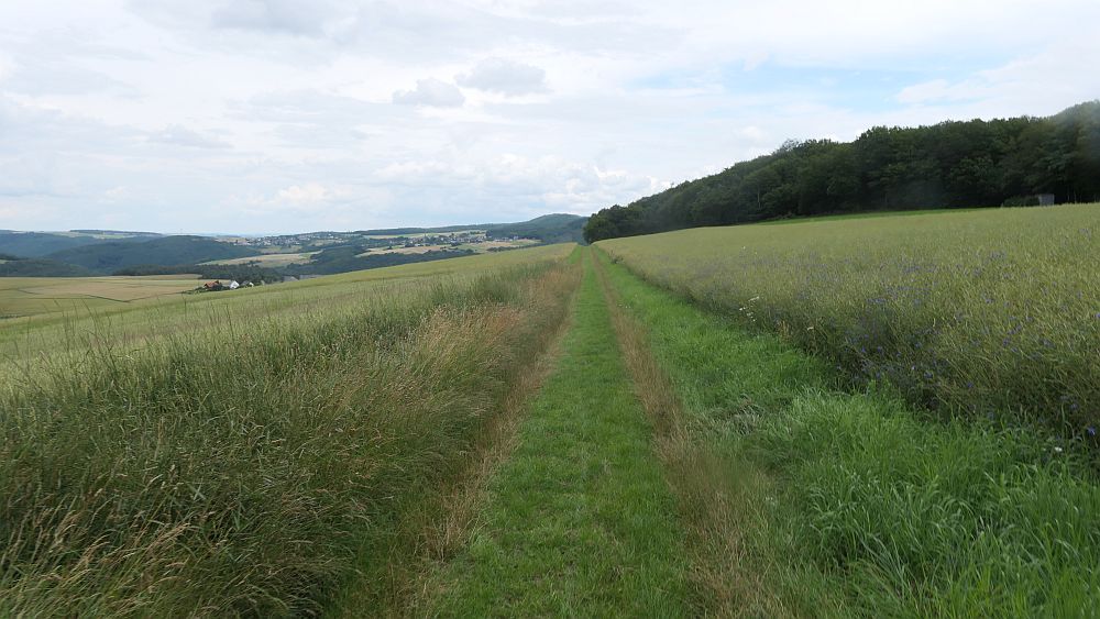 Saar Hunsrueck Steig
