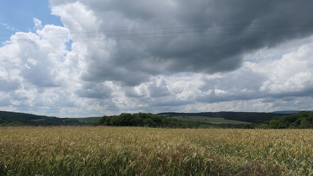 Saar Hunsrueck Steig