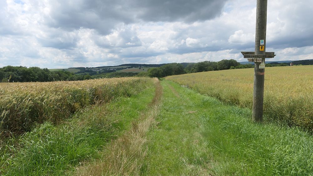 Saar Hunsrueck Steig