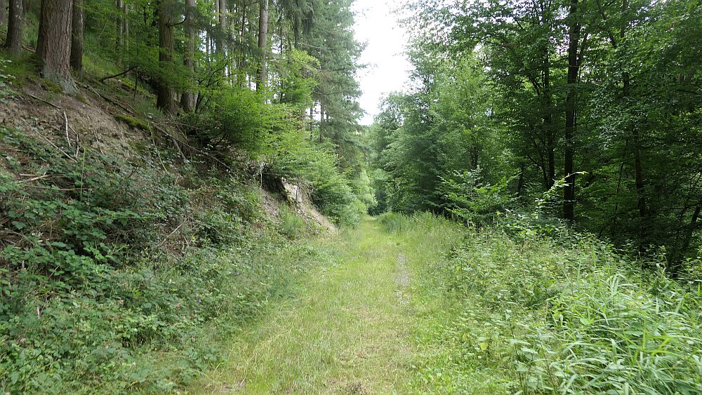 Saar Hunsrueck Steig