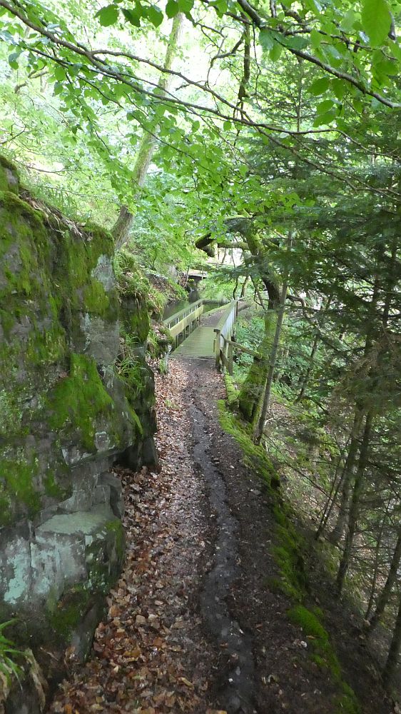 Saar Hunsrueck Steig