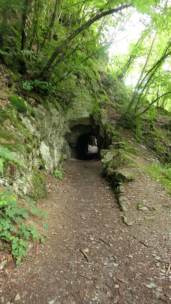 Saar Hunsrueck Steig