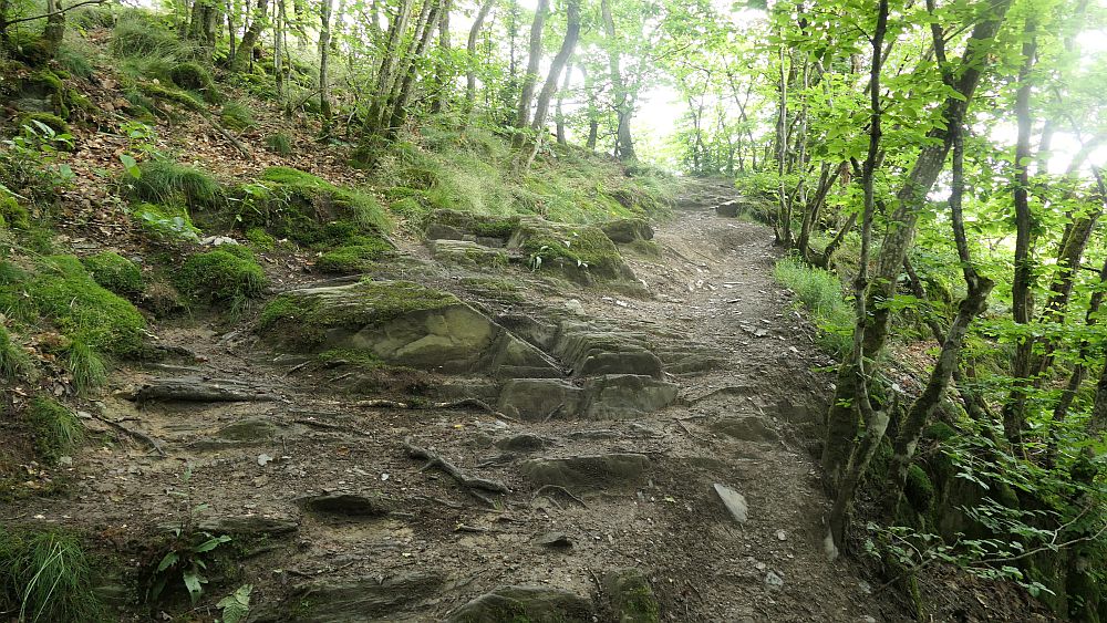 Saar Hunsrueck Steig