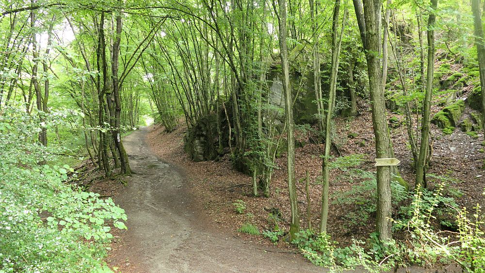 Saar Hunsrueck Steig