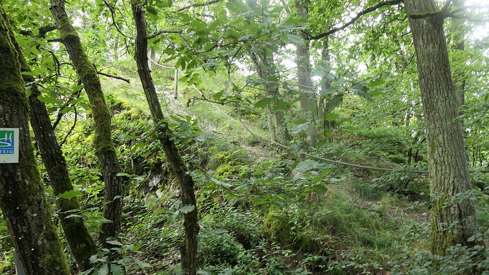 Saar Hunsrueck Steig