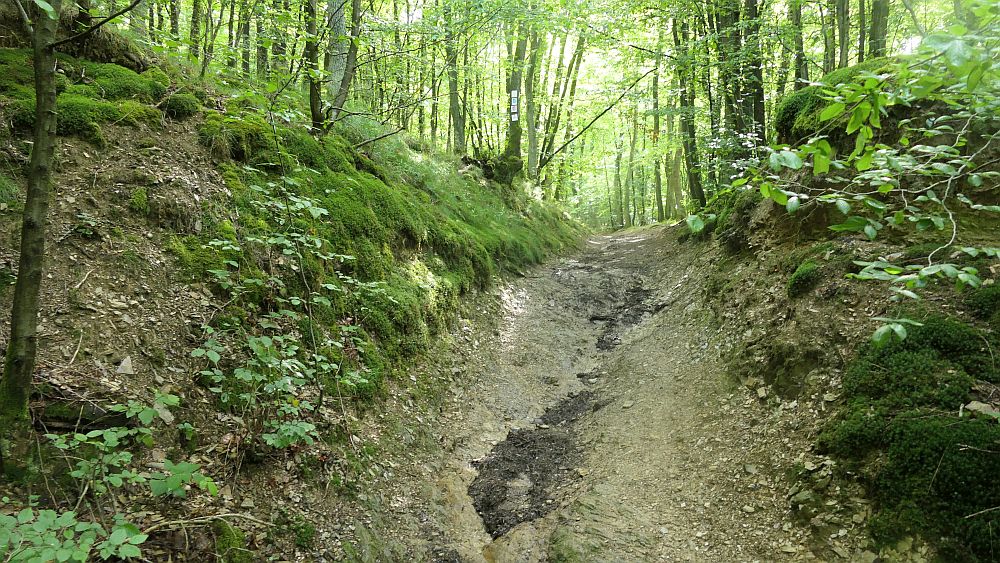 Saar Hunsrueck Steig
