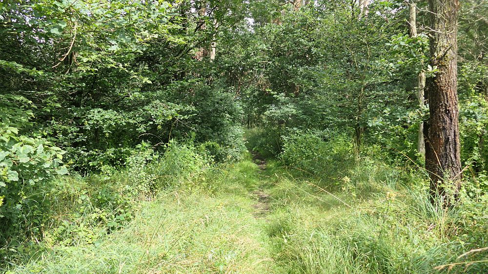 Saar Hunsrueck Steig