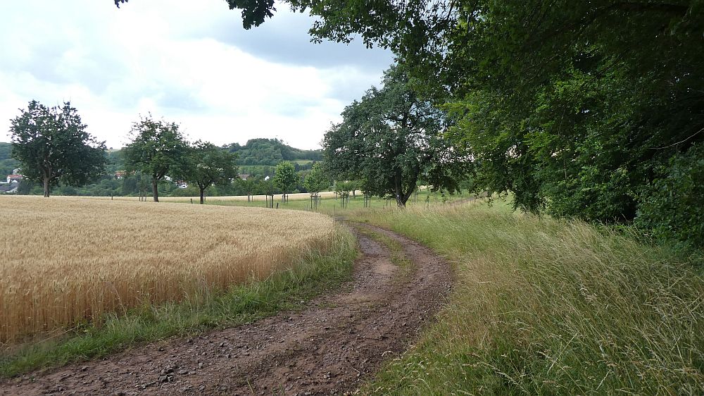 Saar Hunsrueck Steig