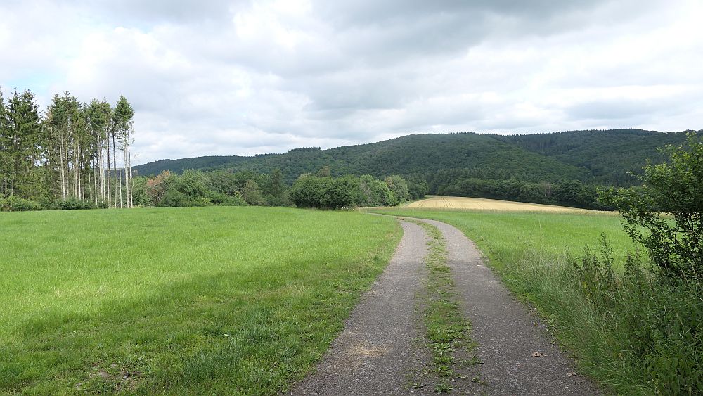 Saar Hunsrueck Steig