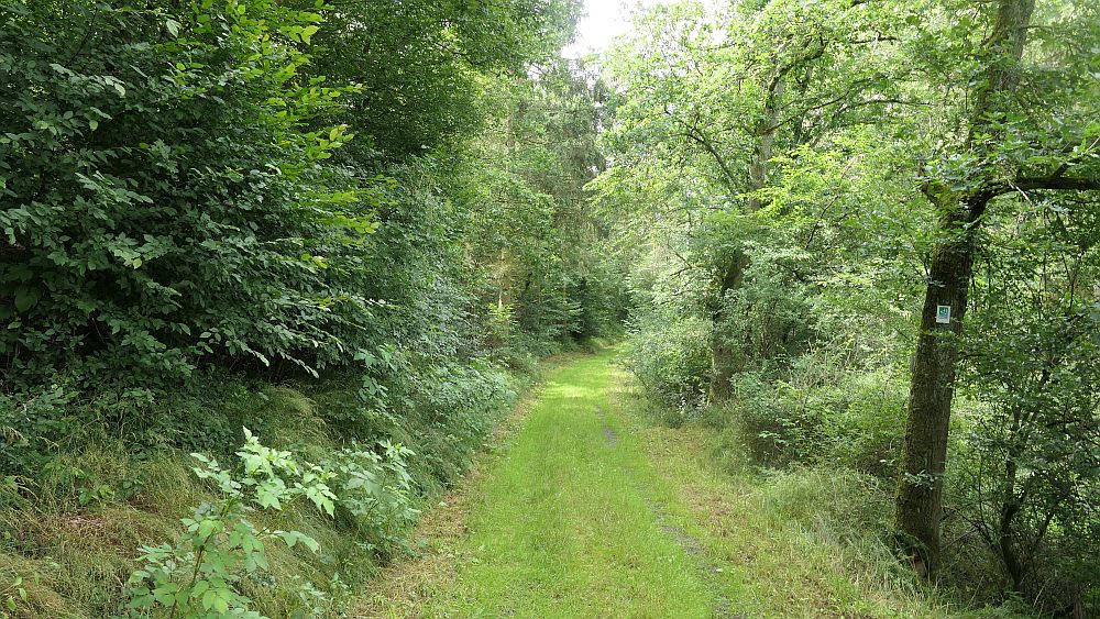 Saar Hunsrueck Steig