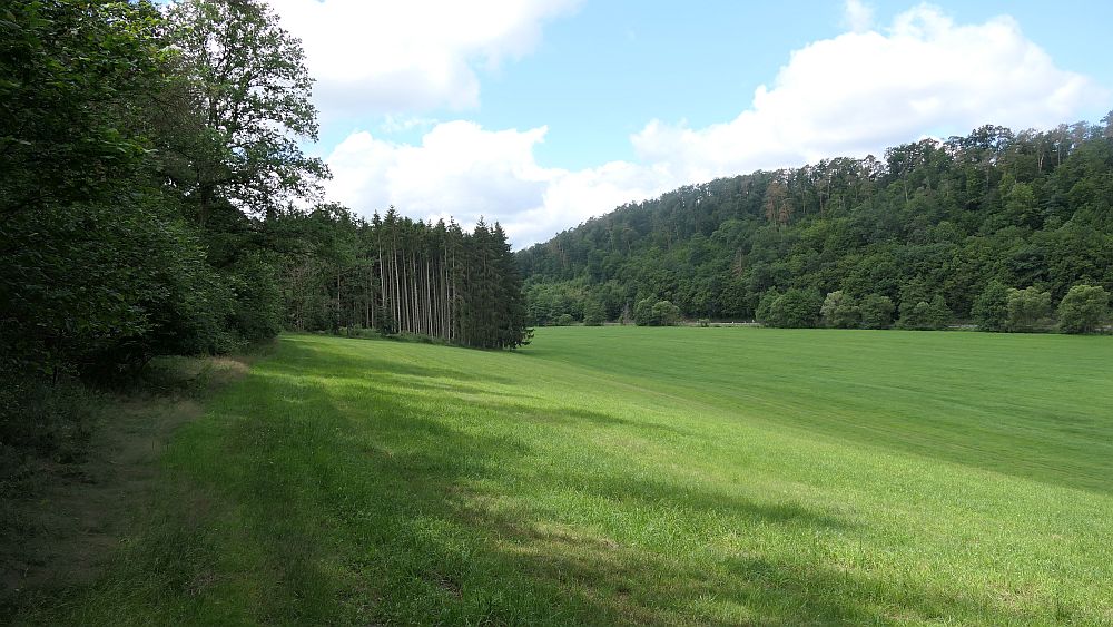 Saar Hunsrueck Steig