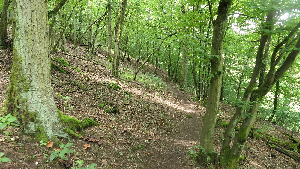 Saar Hunsrueck Steig