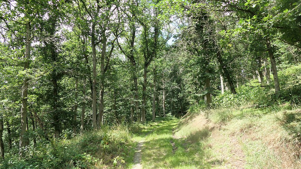 Saar Hunsrueck Steig