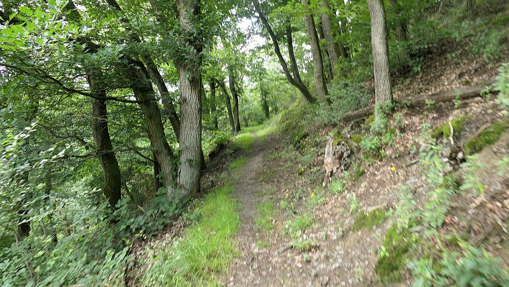 Saar Hunsrueck Steig